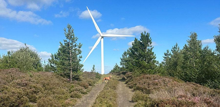 A wind turbine with a dog running in the foreground